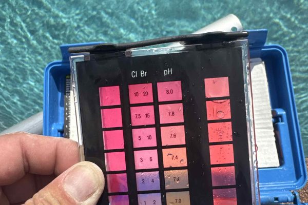 taylor reagtent testing